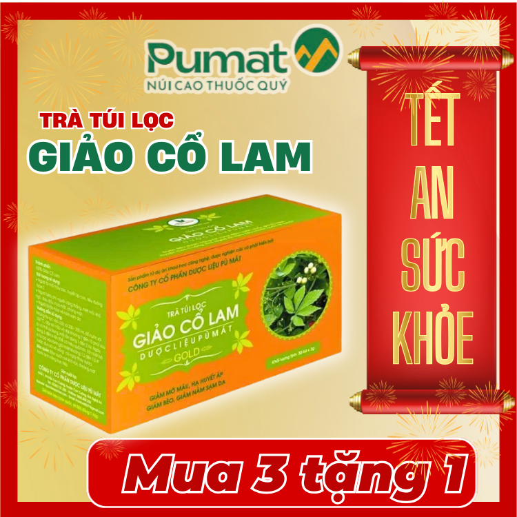 Trà túi lọc Giảo cổ lam Pù Mát -Trà dược liệu túi lọc