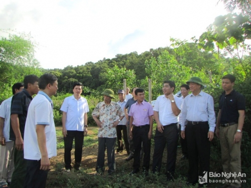 Nguyên Bộ trưởng Bộ Thương mại Trương Đình Tuyển thăm vườn dược liệu ở Chi Khê. Ảnh: Bá Hậu