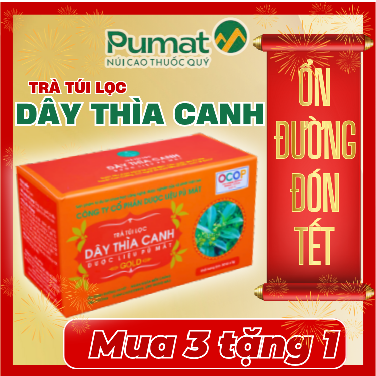 Trà túi lọc dây thìa canh Pù Mát - Trà dược liệu túi lọc