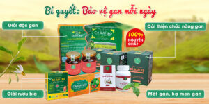 Công dụng cà gai leo Pù Mát