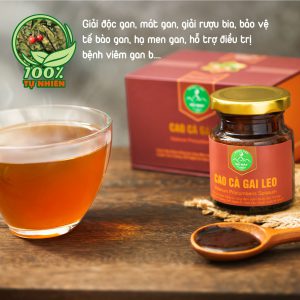 Cao cà gai leo Pù Mát