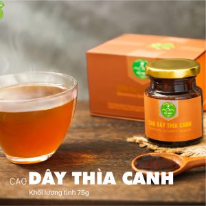 Cao dây thìa canh Pù Mát