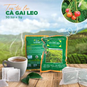 Dược liệu Pù Mát ra mắt Trà cà gai leo túi Zip mới : Chất lượng không đổi, thêm tiết kiệm