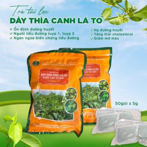 Công dụng dây thìa canh lá to