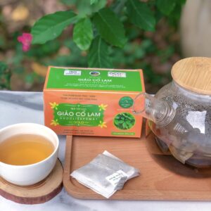 Trà túi lọc Giảo Cổ lam Pù Mát