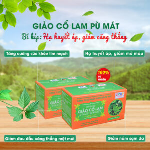 Giảo cổ lam Pù Mát