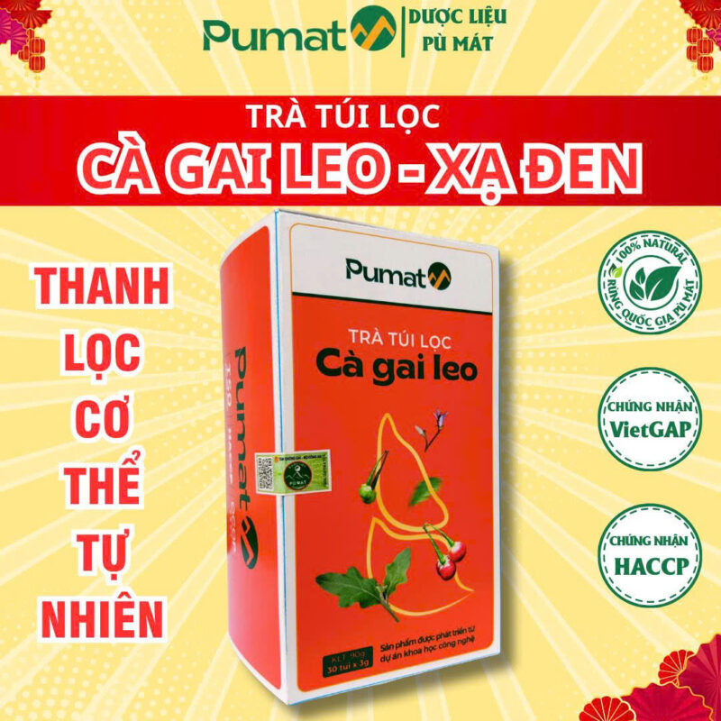 Trà Túi Lọc Cà Gai Leo Xạ Đen Hộp 90g | Giải Độc Gan | Dược Liệu Pù Mát