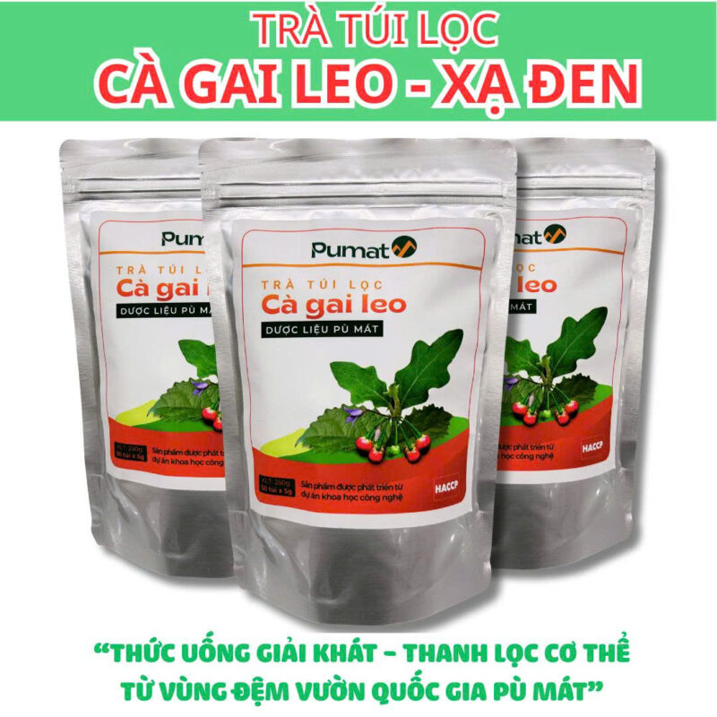 Trà Túi Lọc Cà Gai Leo Xạ Đen 250g |  Giải Độc Gan | Pù Mát