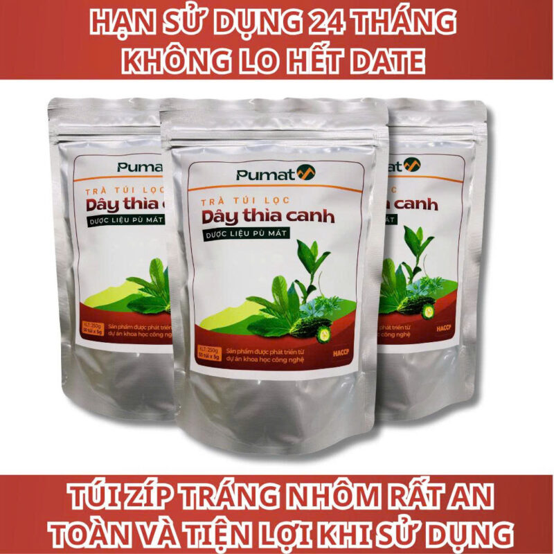 Trà Dây Thìa Canh Túi Lọc 250g | Hỗ Trợ Tiểu Đường | Pù Mát